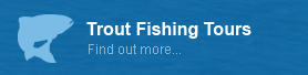 Trout Fishing Tours